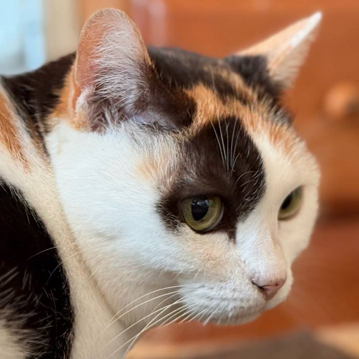 B1afb6fb b8ab 4249 8a30 85d90e3a1d03 1735349709108