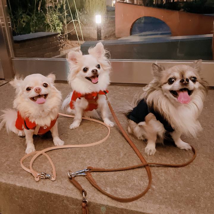 B1b01776 a34b 4dab 87d3 25f12934d057 1663236147941