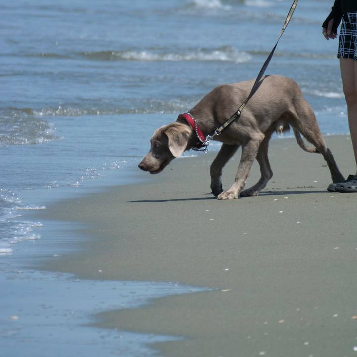 B1b022ba 4f9f 48a8 a84a 3c2f9a345570 1525521807991