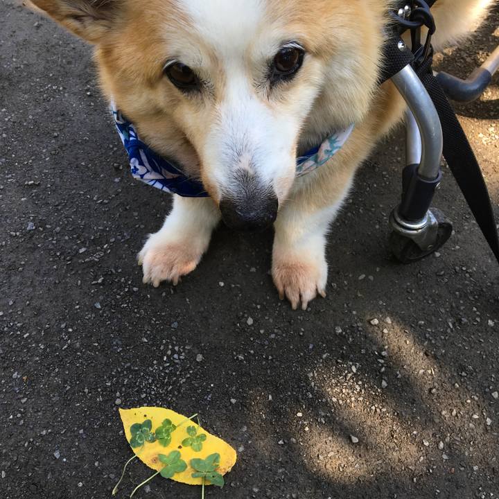 B1b0399c 5e78 49d8 ad6c 44b964a5a0a3 1560383274582