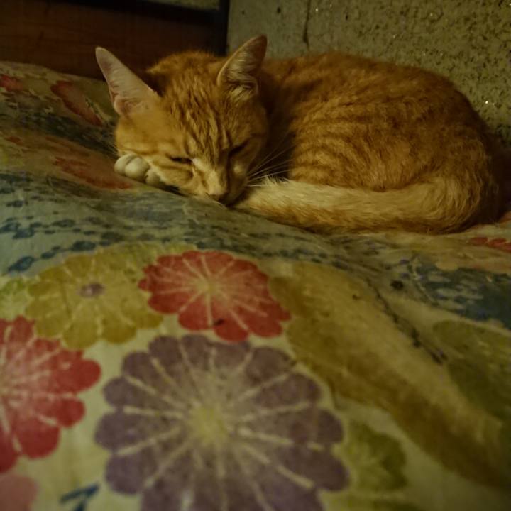 B1b0b767 0126 42fe 9401 4d77139c1816 1594645721961