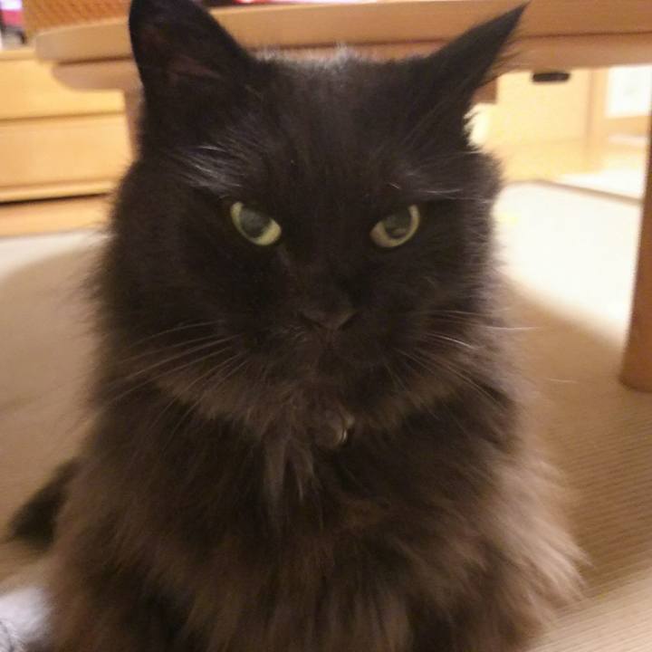 B1b0c8c4 740d 47c8 a276 19c6a168cf15 1534413227142