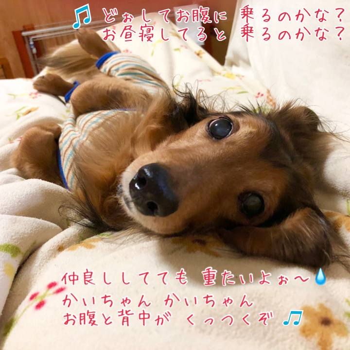 B1b0dc4b 29e6 4899 8a0c b9f3d9de9a03 1517020260508