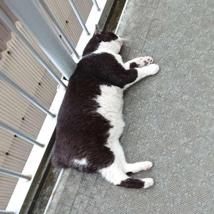 B1b0ffbe 1e57 4af8 aa66 ee7d29c00a41 1659387772707