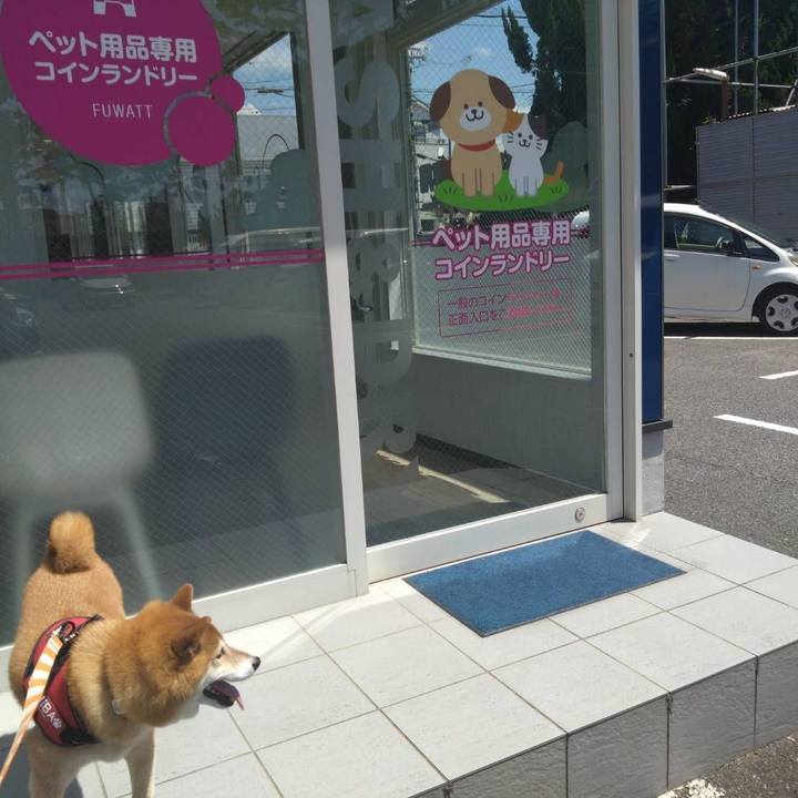 B1b10ae8 975d 40bd a916 6dd9a669eddd 1752382750317