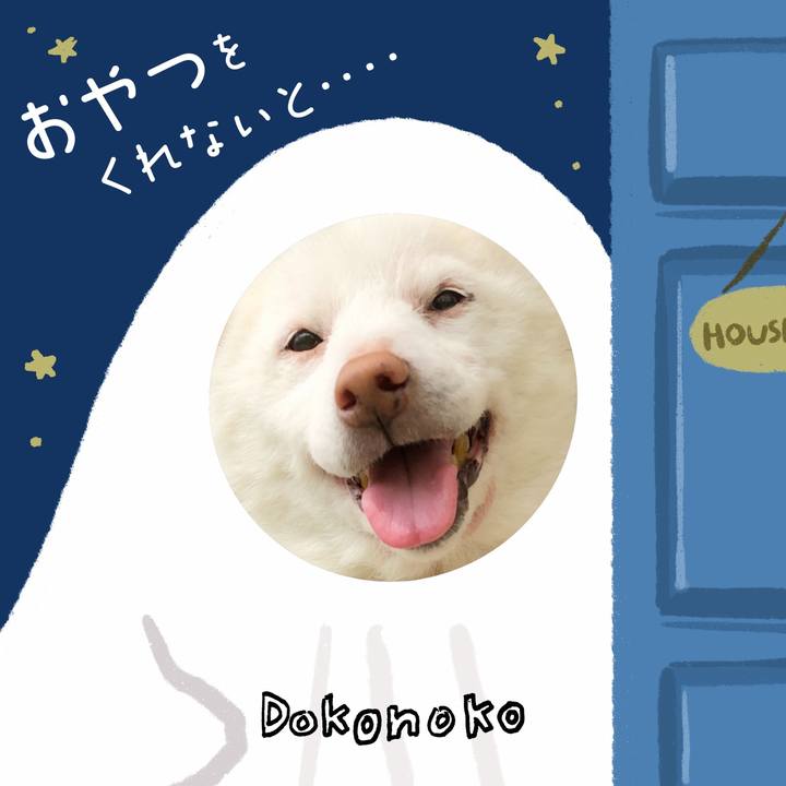 B1b119dd 0c4f 4fc9 b190 63ff26975b6e 1730272600028