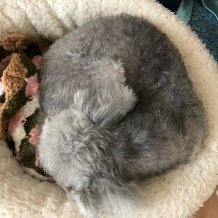 B1b15d9e c72c 400c a263 b0e1aa429552 1599524355577