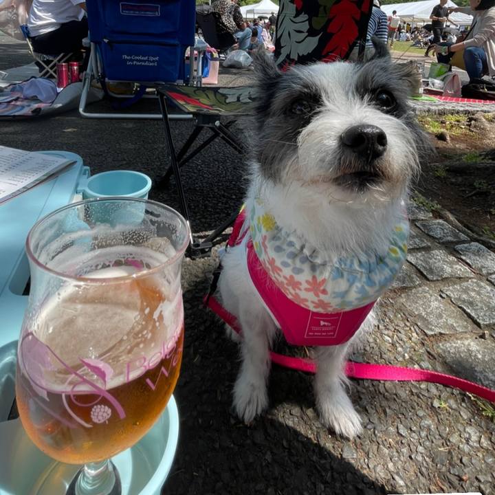 B1b1c10c b211 4d4a 88b3 357b303a7705 1684644037330