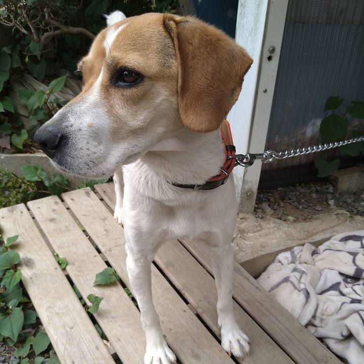 B1b1e449 a722 4fde a0f6 743385fb82c6 1621152485307