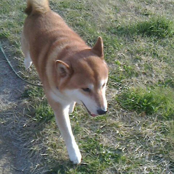 B1b1f702 4751 40f3 9cdf 5e6bc1621eeb 1554285329299