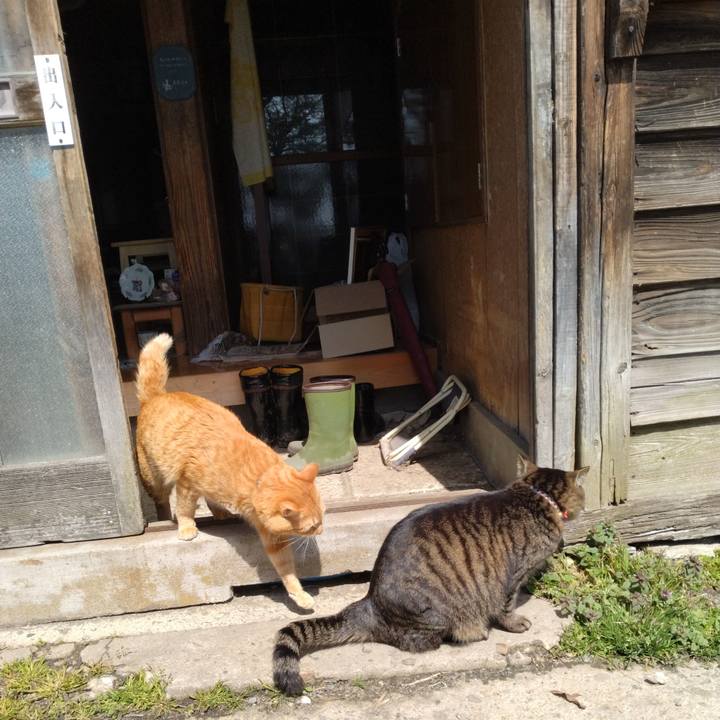 B1b22fcb 3aef 43cb abcb bddbed3bc070 1679970706632