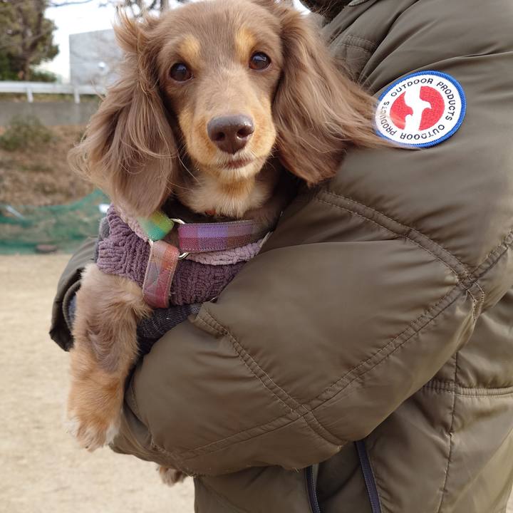 B1b2354c e07b 4327 917c 4a3ce6621ee0 1737248646214