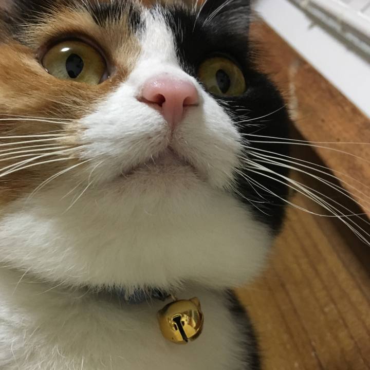 B1b237d5 cb8f 4429 83bb ccdd371b797e 1513598435598