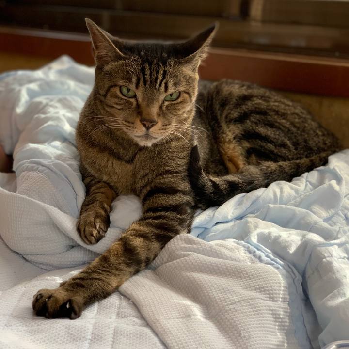 B1b26f7e 97c5 4241 a686 4bff5a996771 1562461970355