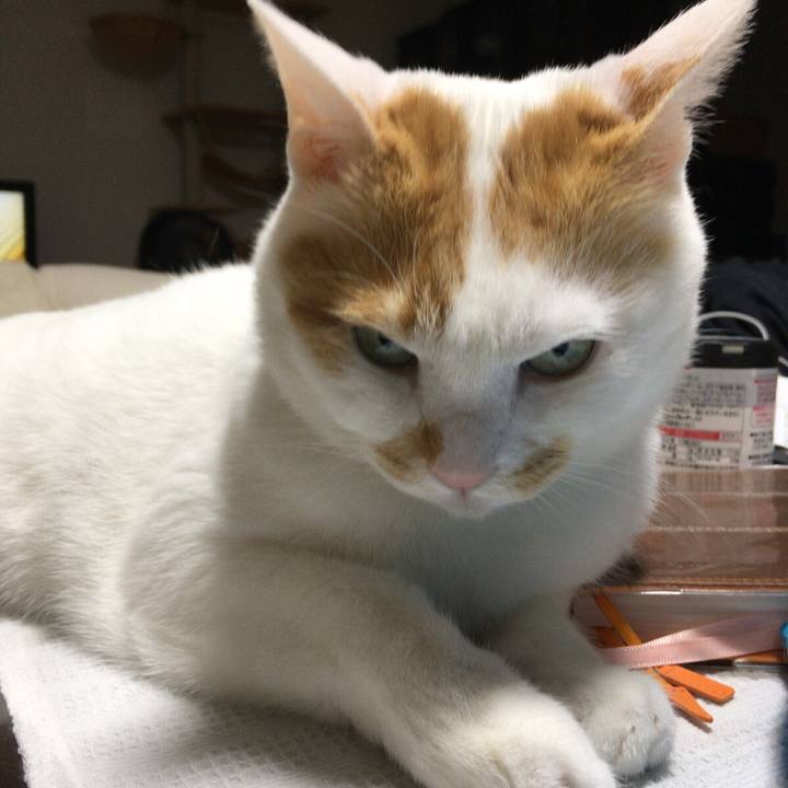 B1b29e0d 78b2 41fc aa8b 077ae7b506d5 1517403517970