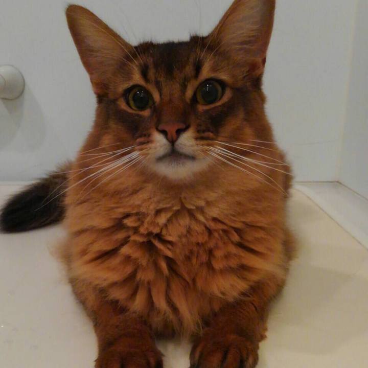 B1b2abc8 54a0 40e2 ac38 4f36129eb34a 1630679397465