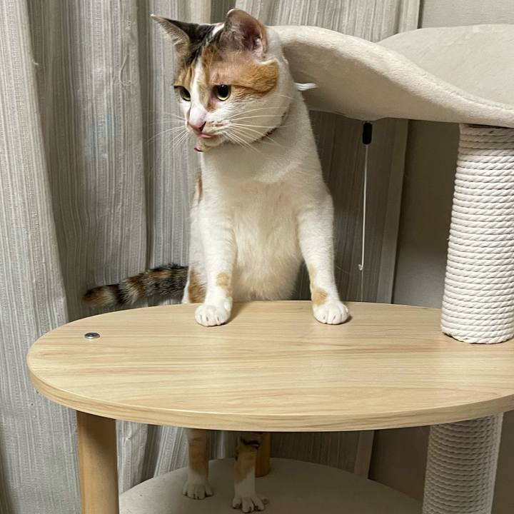 B1b2c5d5 06b0 400d bc6b e98e3f4cdde0 1632834750756