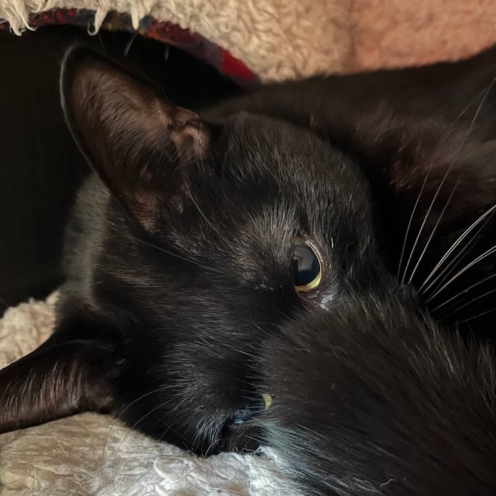 B1b2d968 6535 437c 939a 94e73af69fba 1643762114746