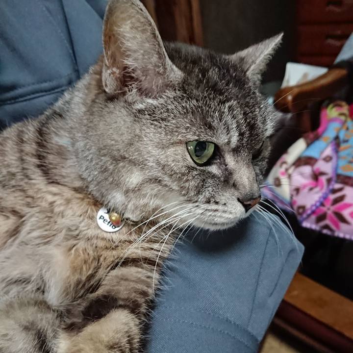 B1b2e22e c220 493a b964 de4fff271024 1556184901752