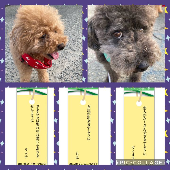 B1b2e804 f46b 459c 9dfc 9a78d81b56ae 1688710994722