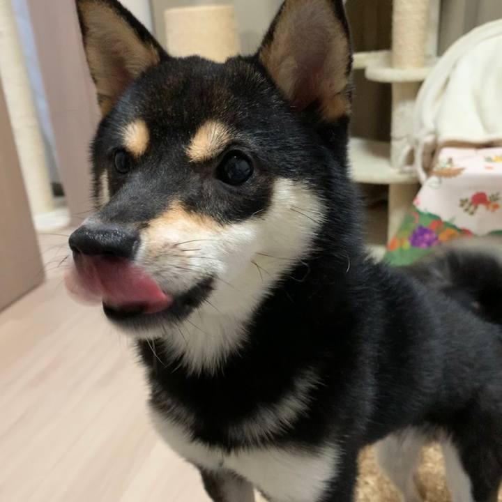 B1b2f567 4883 4ebb 8640 40e8fa3646e4 1585530295548