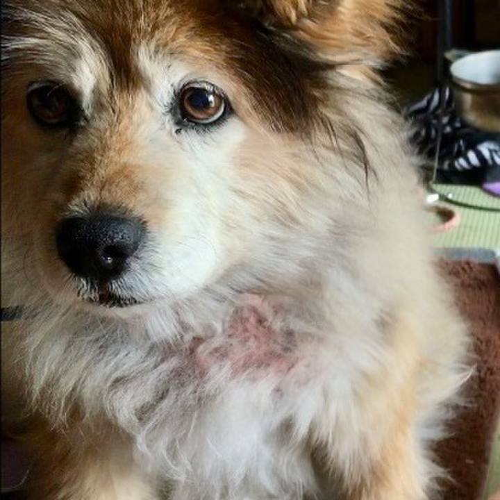 B1b2f672 180a 41a0 a45c e3fa46745f1a 1600571819926