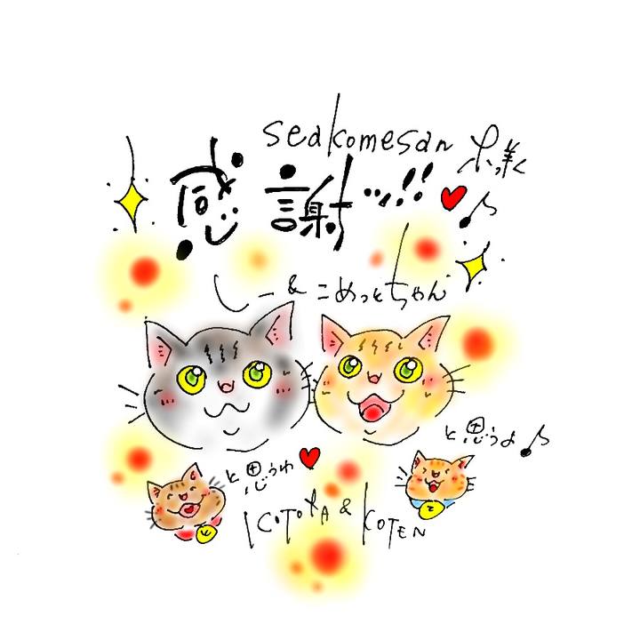 B1b31111 9a38 4595 b27c fbf89487875e 1573490557383