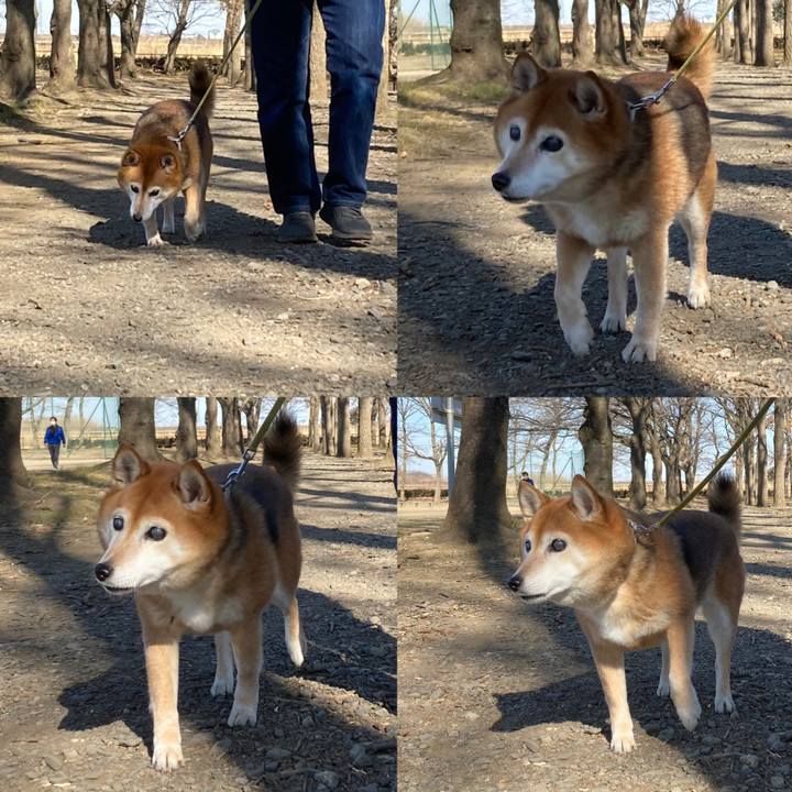 B1b35ddb b871 4e52 824d d965a36da0a6 1675657219856