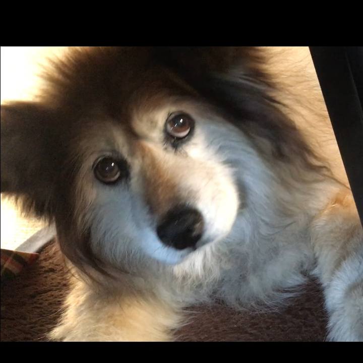 B1b3794a 59bb 42c4 88a2 9c764a23d815 1551045123156