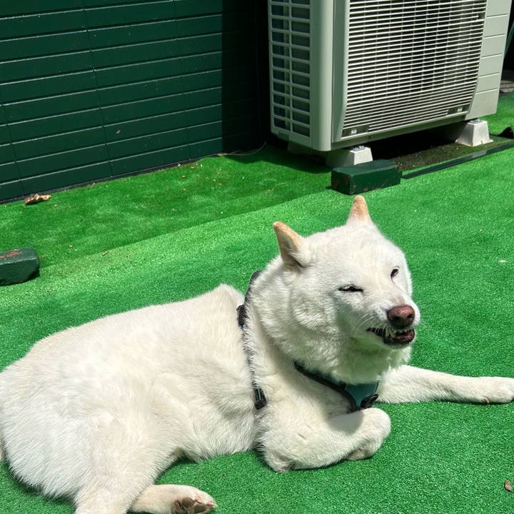 B1b3a64f d59e 403a 92f6 b22c2fccbb5b 1753412727385