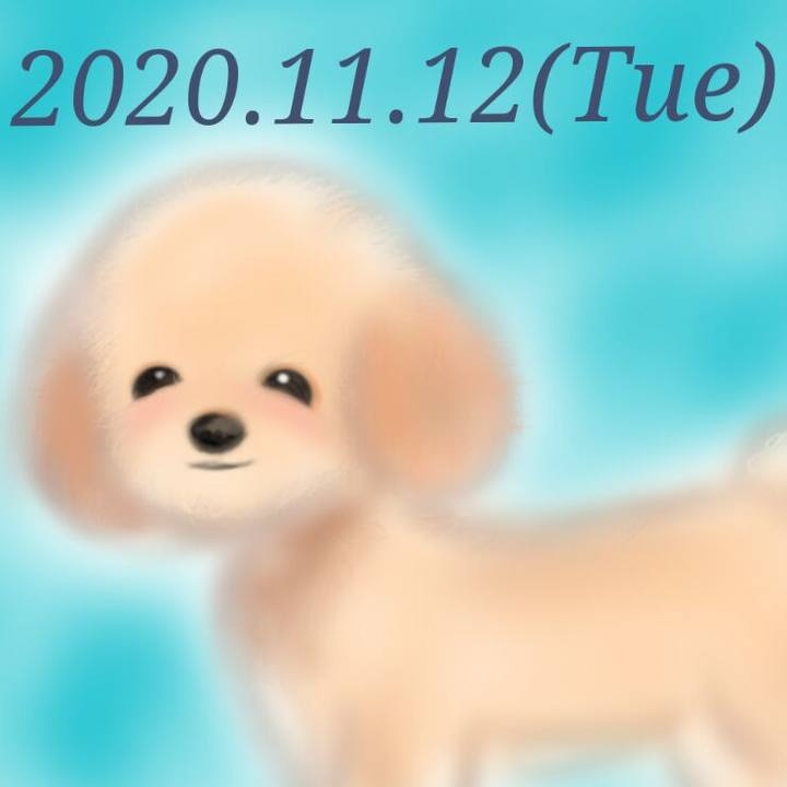 B1b3dfb6 90cf 4f3c 93e5 d5699cb7879d 1605179424910