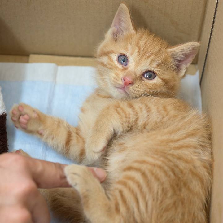 B1b450dd 6a27 4766 8252 acc747e24c4d 1528000846716