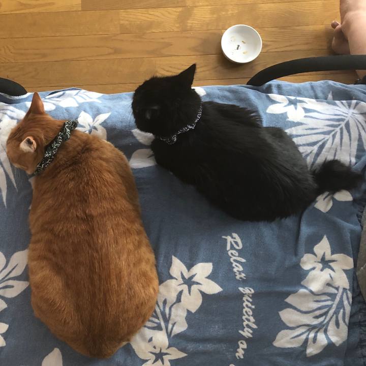 B1b4622e ad83 4af4 951b ac6ae40c21ef 1581202862162