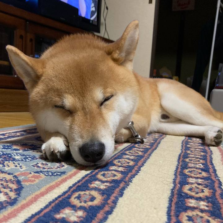 B1b466e0 3eaa 4b9c b7d5 7d3c19e3e3ad 1613564035071