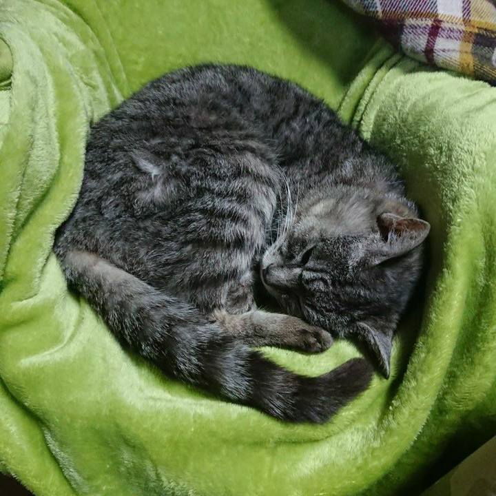 B1b48e50 9ca2 4f16 9c84 250c5734aa1a 1583568674388