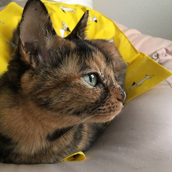 B1b48efe fcd6 42fc 9d2b 14935f55e065 1537547607053