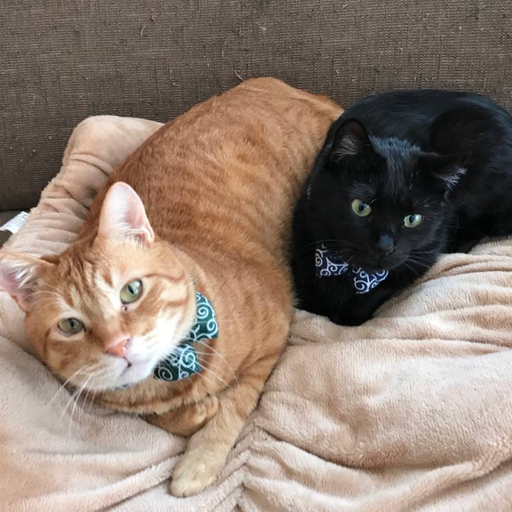 B1b4fb7a a642 40e8 87de 9b37aa0ec4b8 1561249777687