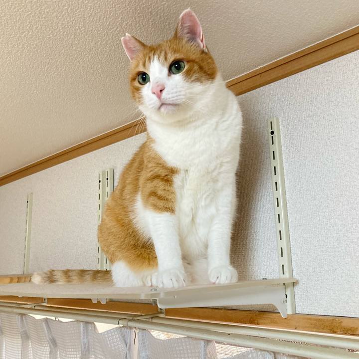 B1b51d07 5d89 4a01 8ec0 fc4243361a82 1756452745996