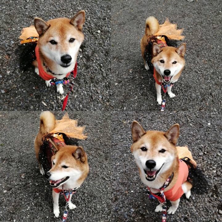 B1b534c3 d19d 4101 816c 89ea29c641e0 1663991687103