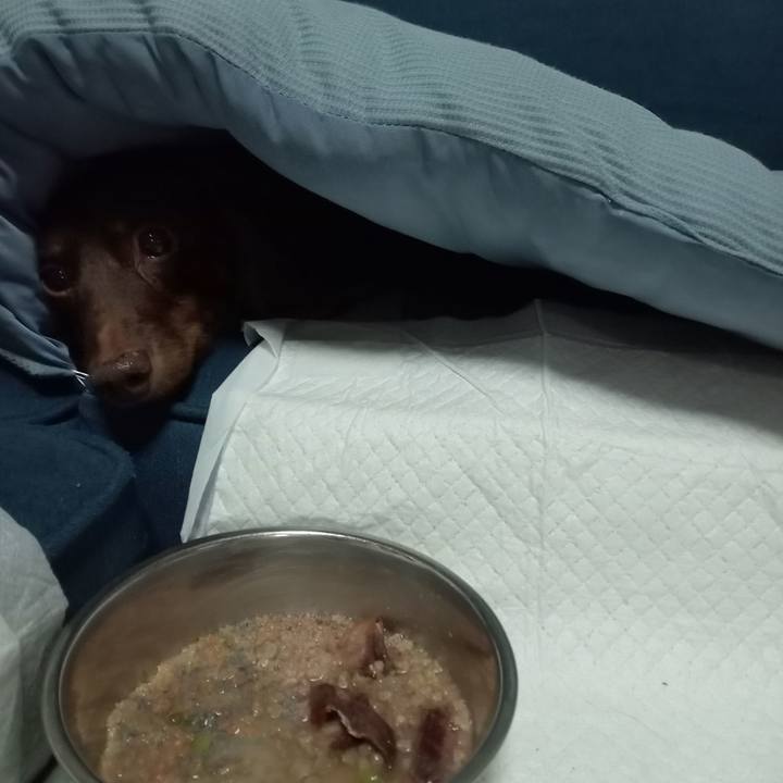 B1b53acc d428 4d94 97c9 debf5fc60d9c 1759960004662