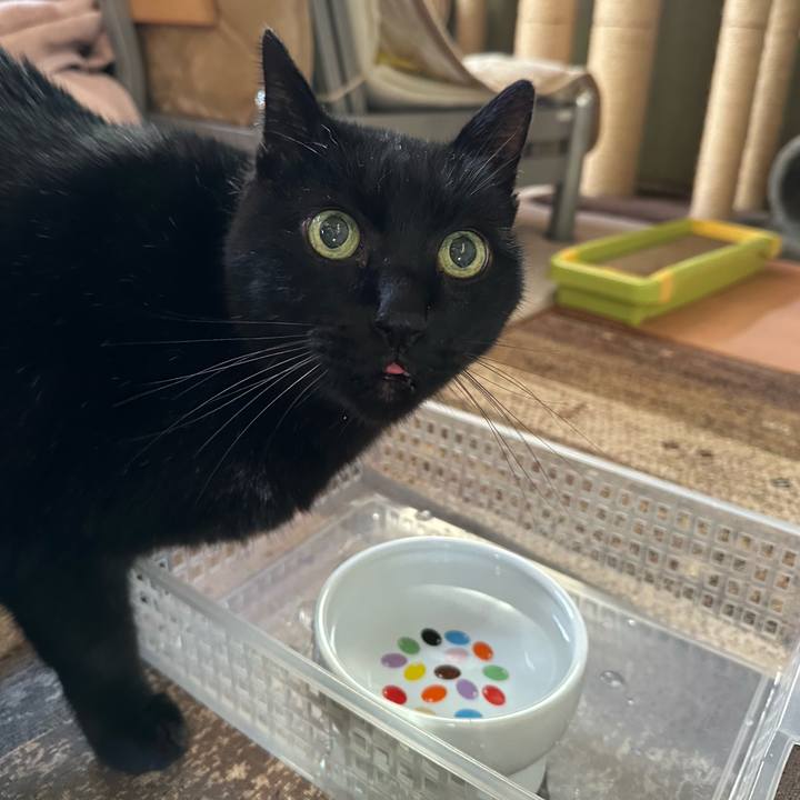 B1b57542 222a 4302 9e80 8b0917515843 1673750521404