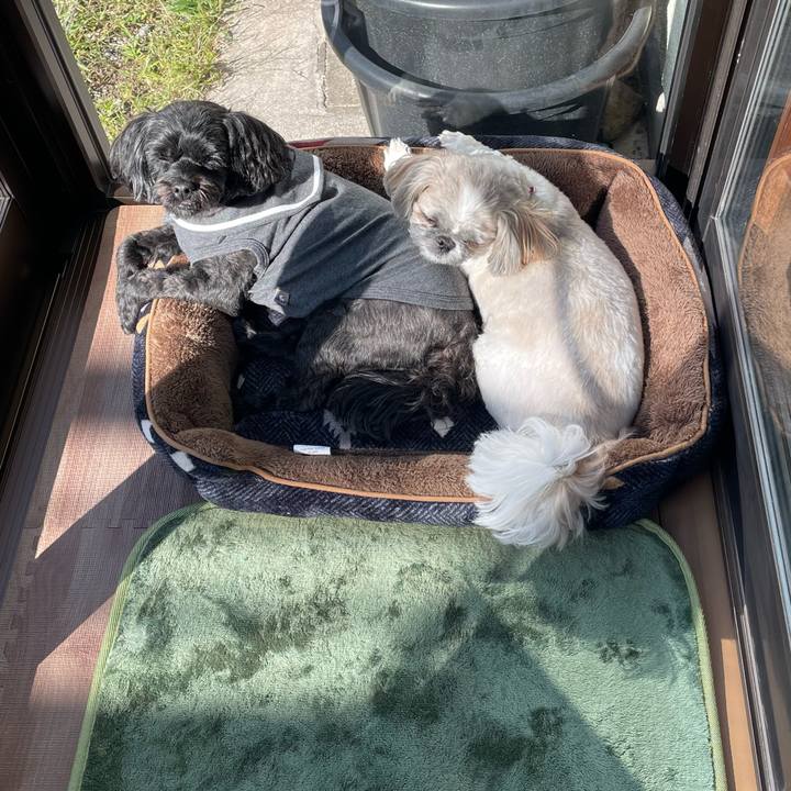 B1b5839d 129c 4f3e 8d95 43cb4f2ea4cc 1697473791373