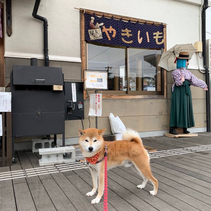 B1b59875 b9d6 4694 85d8 46b01bc04417 1574929476442