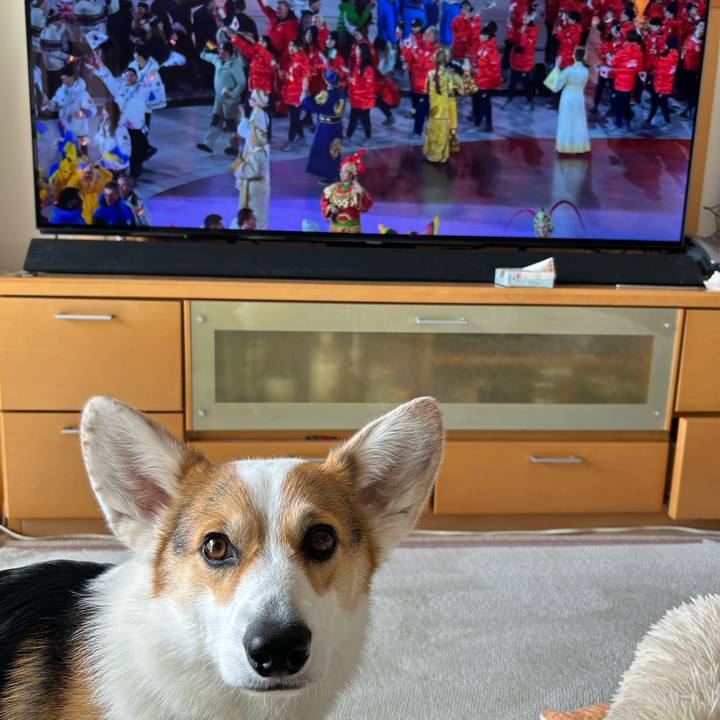 B1b5b3ae 8e85 4760 90e3 f708f79f77a6 1771822395479