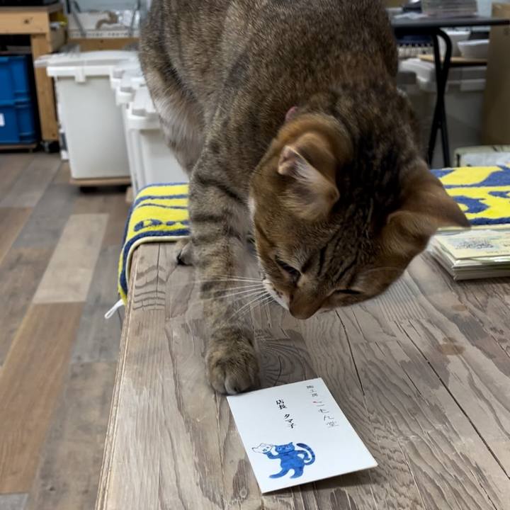 B1b5c3f5 5f4e 4713 9a28 704a0204a90e 1723359186996