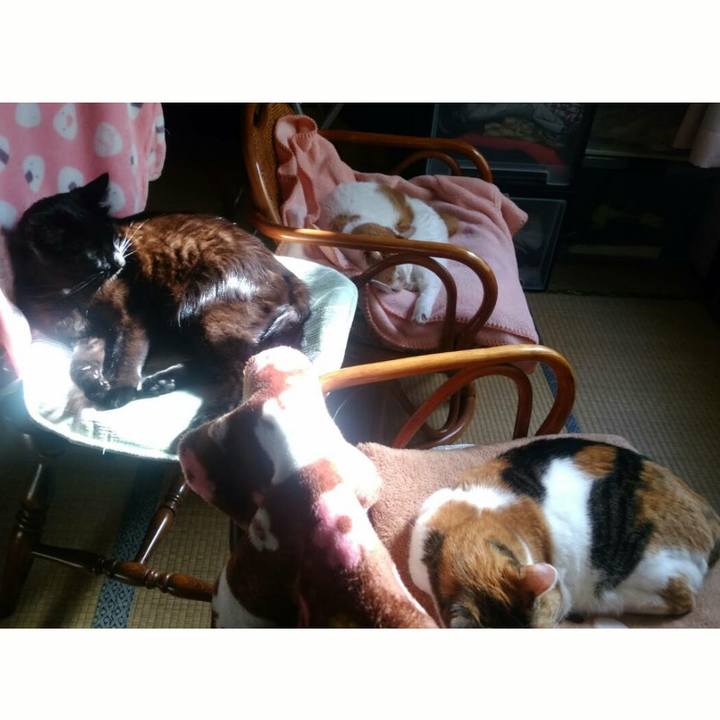 B1b5d535 2bf7 414e 95e1 2312bfd1a047 1540182361854