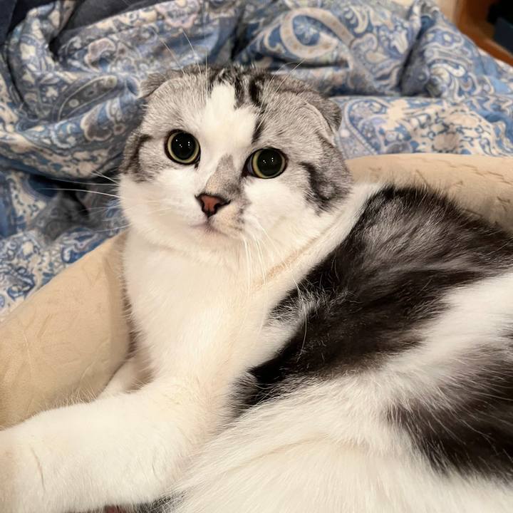 B1b5e30b 0828 415f a96c be10b6fc12ed 1676251039705