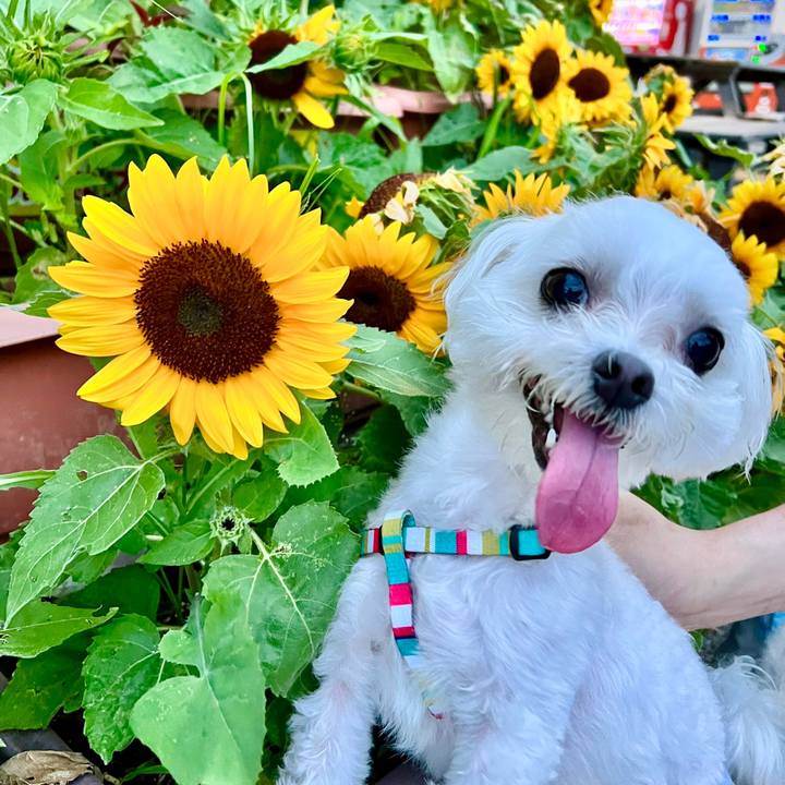 B1b5f012 8617 4175 87d6 af2f6e0b77c1 1660099336026