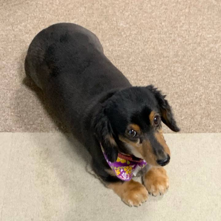 B1b60421 3dd0 4800 a98f 3d88c16a3ce5 1551909898534