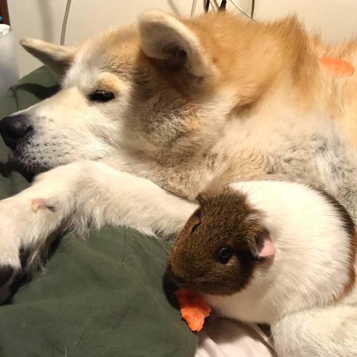 B1b62cea d123 4059 8910 6b06083d0b69 1519824485806